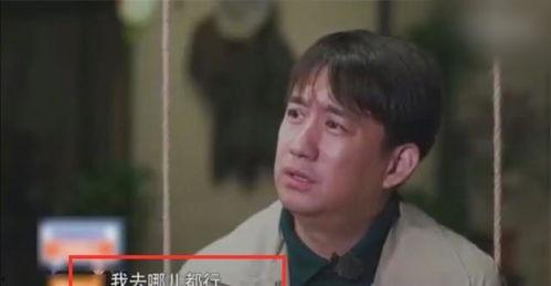 小天后爆料黄磊视频全集,小天后爆料视频全集,真实生活与演艺事业全解析 第2张 小天后爆料黄磊视频全集,小天后爆料视频全集,真实生活与演艺事业全解析 第2张